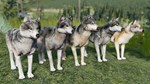 WolfQuest Anniversary - Building Character Pack  DLC - изображение № 2
