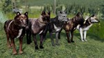 WolfQuest Anniversary - Building Character Pack  DLC - изображение № 3