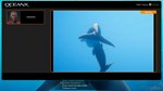 Beyond Blue  АВТОДОСТАВКА STEAM GIFT RUSSIA - изображение № 2
