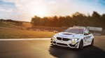 Assetto Corsa Competizione - British GT Pack  STEAM - изображение № 7