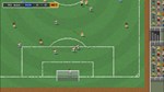 Tiny Football  АВТОДОСТАВКА STEAM GIFT РОССИЯ - изображение № 7