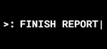 Finish Report  АВТОДОСТАВКА STEAM GIFT РОССИЯ