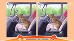 Cute Capybaras  АВТОДОСТАВКА STEAM GIFT РОССИЯ - изображение № 5