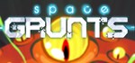 Space Grunts  АВТОДОСТАВКА STEAM GIFT РОССИЯ