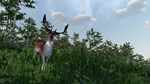 Virtual Hunter  АВТОДОСТАВКА STEAM GIFT РОССИЯ - изображение № 2