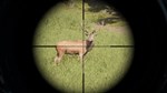 Project Hunt  АВТОДОСТАВКА STEAM GIFT РОССИЯ - изображение № 5