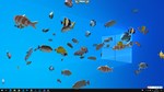 Fish on the desktop  АВТОДОСТАВКА STEAM GIFT РОССИЯ - изображение № 6