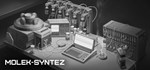 MOLEK-SYNTEZ  АВТОДОСТАВКА STEAM GIFT РОССИЯ