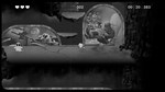 Lil Baby Poop's NIGHTMARES  АВТОДОСТАВКА STEAM GIFT - изображение № 3
