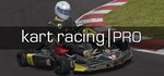 Kart Racing Pro  АВТОДОСТАВКА STEAM GIFT РОССИЯ