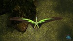 Beasts of Bermuda - Tropeognathus Supporter Warpaint  - изображение № 4