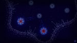 Microcosmum: survival of cells - Campaign 