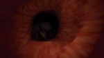 Revenge Of The Colon  АВТОДОСТАВКА STEAM GIFT РОССИЯ - изображение № 6