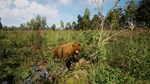 Симулятор Русской Души АВТОДОСТАВКА STEAM GIFT РОССИЯ - изображение № 3