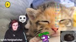 StreamAnimations  АВТОДОСТАВКА STEAM GIFT РОССИЯ - изображение № 4