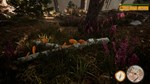 Morels: The Hunt 2  АВТОДОСТАВКА STEAM GIFT РОССИЯ - изображение № 4