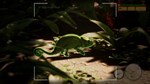 Morels: The Hunt 2  АВТОДОСТАВКА STEAM GIFT РОССИЯ - изображение № 2