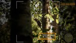 Morels: The Hunt 2  АВТОДОСТАВКА STEAM GIFT РОССИЯ - изображение № 3