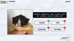 МЕМОЛОГИЯ: ЕГЭ ПО МЕМАМ  АВТОДОСТАВКА STEAM РОССИЯ - изображение № 6