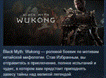 Black Myth: Wukong  АВТОДОСТАВКА STEAM GIFT РОССИЯ