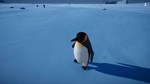 Penguin Helper  АВТОДОСТАВКА STEAM GIFT РОССИЯ - изображение № 6