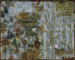 The Entente Gold  АВТОДОСТАВКА STEAM GIFT РОССИЯ - изображение № 5