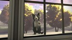 Copycat  АВТОДОСТАВКА STEAM РОССИЯ - изображение № 4