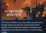 The Forever Winter  АВТОДОСТАВКА STEAM РОССИЯ
