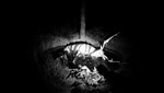 FOREST GOD  АВТОДОСТАВКА STEAM РОССИЯ - изображение № 4