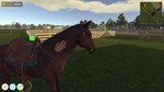 Animal Trainer Simulator  АВТОДОСТАВКА STEAM РОССИЯ - изображение № 7