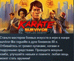 Karate Survivor  АВТОДОСТАВКА STEAM РОССИЯ