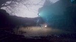 Drizzlepath: Picturae  АВТОДОСТАВКА STEAM РОССИЯ - изображение № 3
