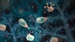 Jellies of the Deep  АВТОДОСТАВКА STEAM РОССИЯ - изображение № 3