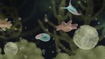 Jellies of the Deep  АВТОДОСТАВКА STEAM РОССИЯ - изображение № 4