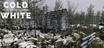 The Cold White  АВТОДОСТАВКА STEAM РОССИЯ