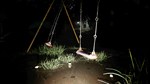Cursed Digicam | 呪われたデジカメ  АВТОДОСТАВКА STEAM РОССИЯ - изображение № 3