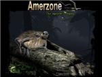 Amerzone: The Explorer’s Legacy (1999)  STEAM KEY - изображение № 6