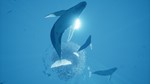 ABZU XBOX ONE КЛЮЧ - изображение № 11