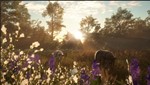theHunter: Mississippi Acres Preserve XBOX Ключ DLC - изображение № 3