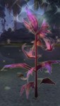 ПРОКАЧКА СОБИРАТЕЛЬНОЙ ПРОФЕССИИ BFA