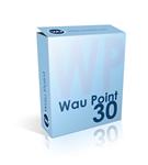 Пополнение баланса 30 wp
