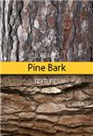 Pine Bark Surfaces Texture Backgrounds