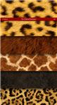 Fur Animal Patterns - изображение № 2