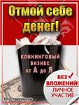 Стерлингов М . Клининговый бизнес. Версия Gold