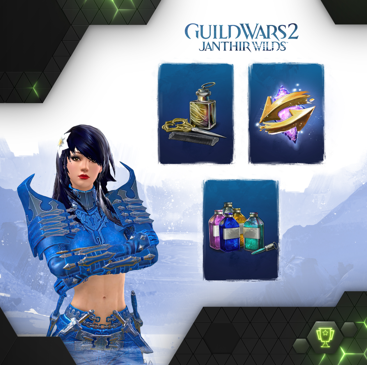 Guild Wars 2 In-Game Style Bundle