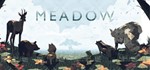 Meadow | Steam Ключ GLOBAL
