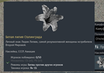Набор бонусов War Thunder - Radio Tapok - изображение № 6