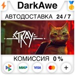 Stray STEAM•RU ️АВТОДОСТАВКА 0% КАРТЫ