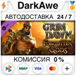 Grim Dawn - Forgotten Gods Expansion STEAM ️АВТО 0%