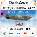 IL-2 Sturmovik: P-40E-1 Collector Plane (Steam | RU) А